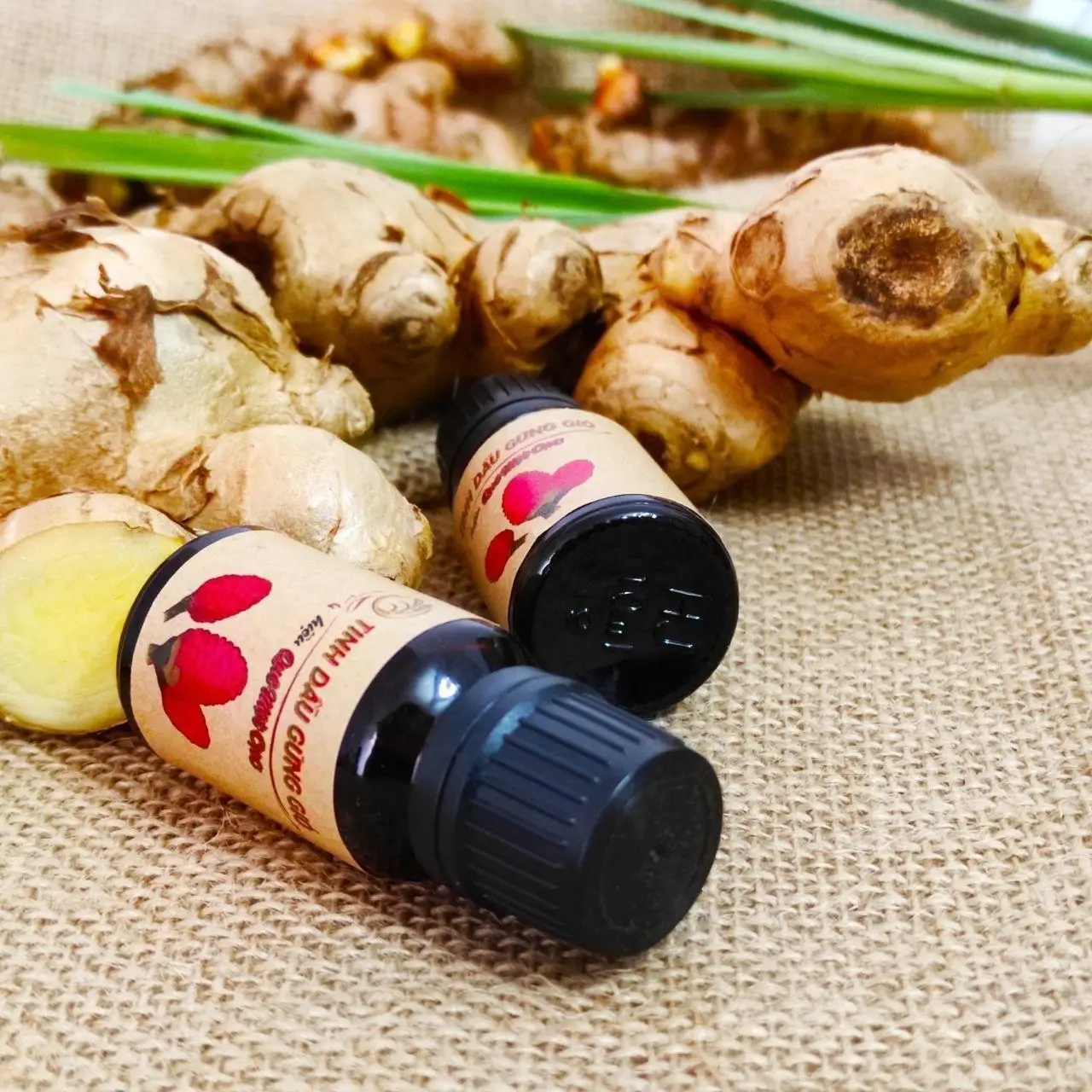 
Natural OEM Organic Aromatherapy Massage Body Fragrance Essential Oil from Vietnam 