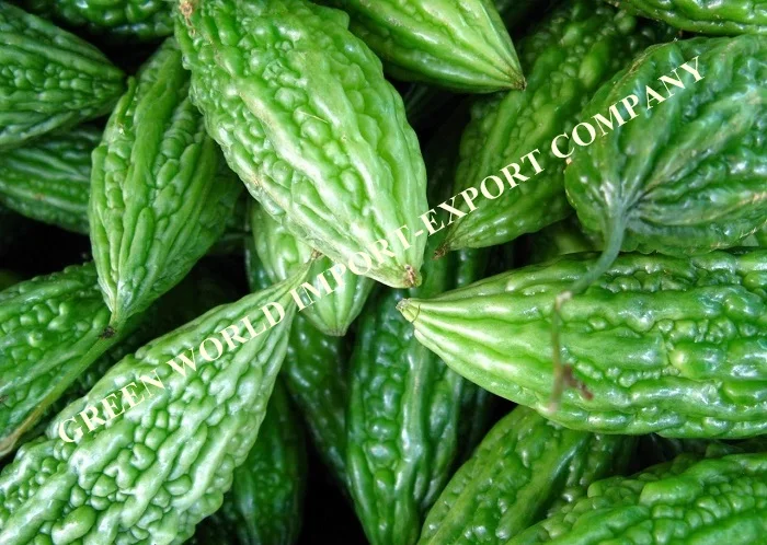 HEALTHY DRIED BITTER MELON - BITER GOURD WITH PREMIUM QUALITY AND GOOD PRICE - DEHYDRATED BITTER MELON VIETNAM