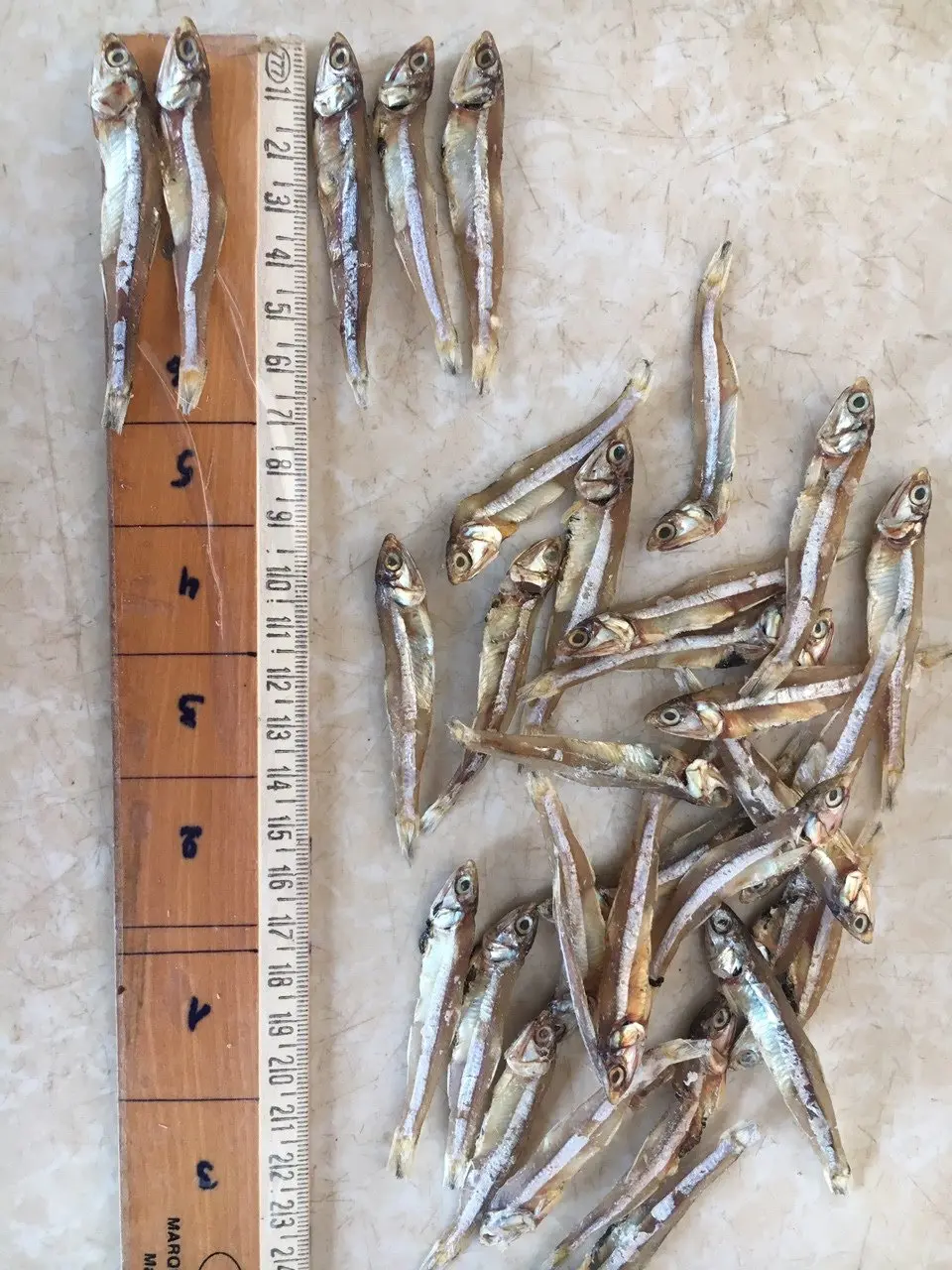 VIETNAM DRIED ANCHOVY FISH/ SPRATS NATURAL SUN DRIED (Anchois) FISH DRIED SEAFOOD- LINDA WHATSAPP: 0084 989 322 607