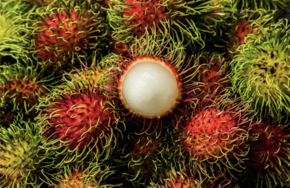 Rambutan, Rambutan Fruit, Fresh Rambutan , Natural Sweet From Thailand