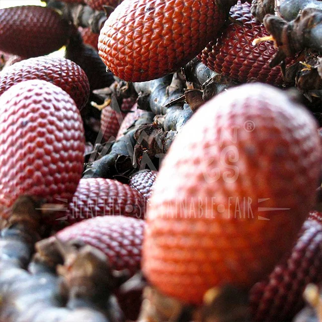 Масло для пищевых продуктов и косметики из Перу хорошее качество быстрая доставка