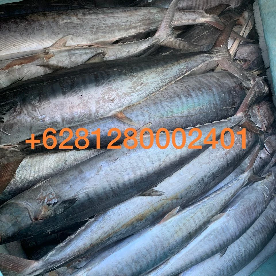 Король рыбы скумбрия лучшее качество из Индонезии