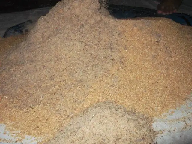 Wholesale Best Quality Chicken Feather Meal For Sale In Cheap Price