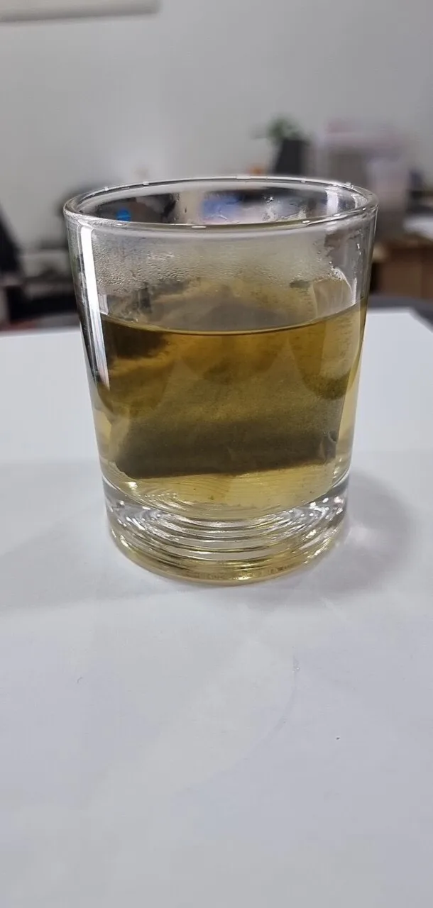 OEM Tea Bag Packing Dried Soursop Leaf/ Graviola Leaf Origin Vietnam Bulk Best Prices