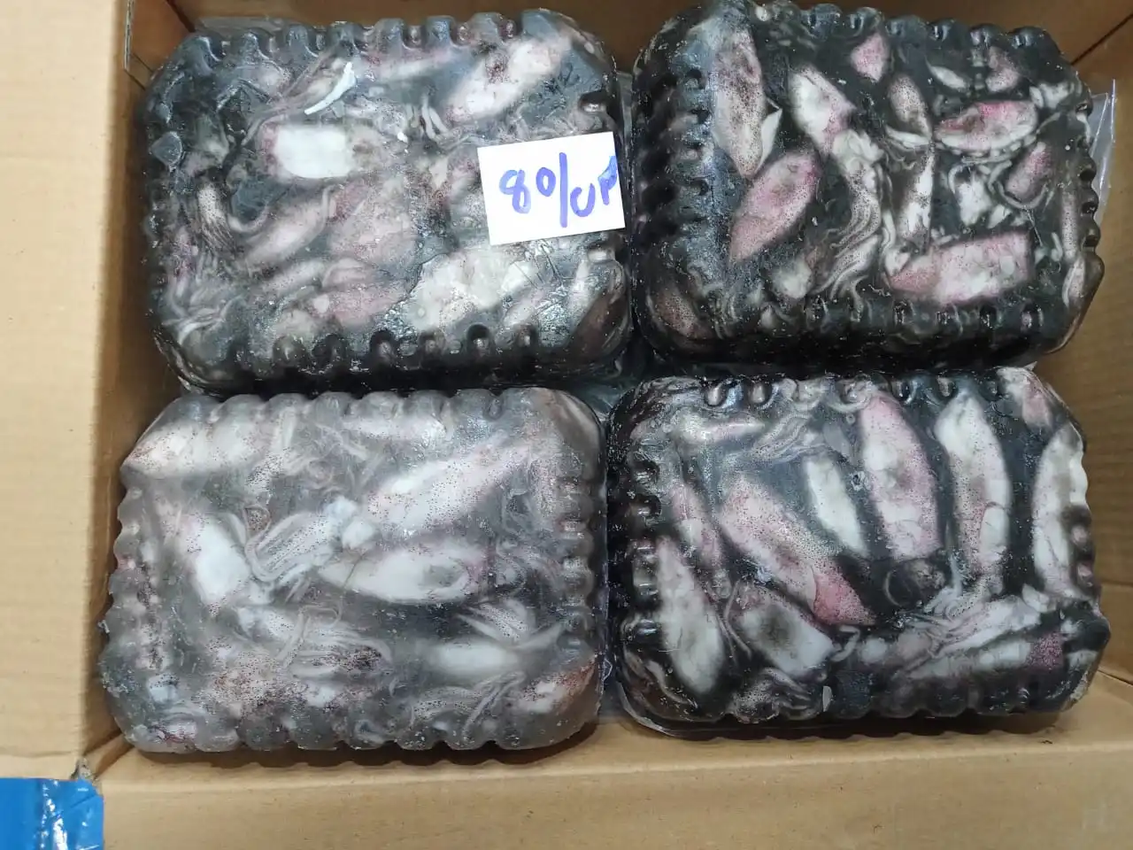TOP QUALITY FROZEN BABY SQUID BQF FROM INDIA