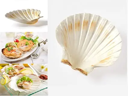 Морская раковина из гребешков натуральная для украшения Вьетнамского пляжа мисс Люси + 84 929 397 651