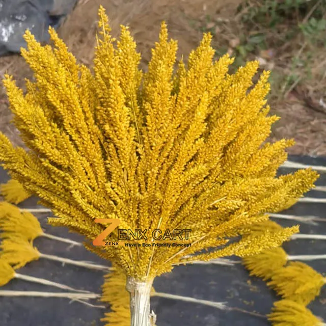 Newly Wholesale Dried Star Grass Dried Flowers Color Pampas Category Ornamental Decoration