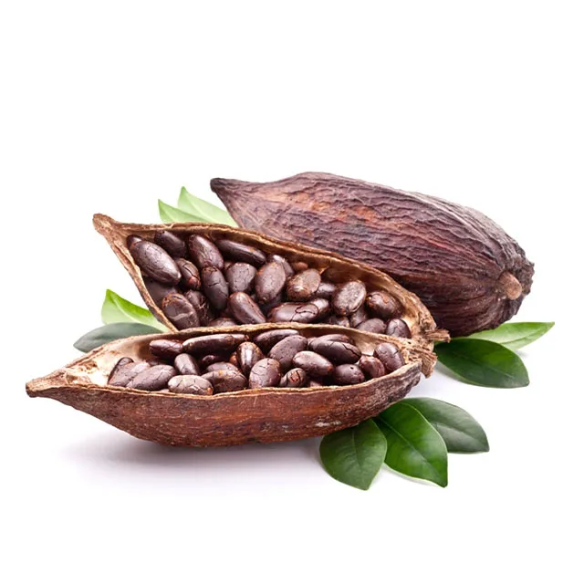  Какао-бобы готовые к экспорту высококачественные какао-бобы для гурманов от вьетнамской программы какао-трассы