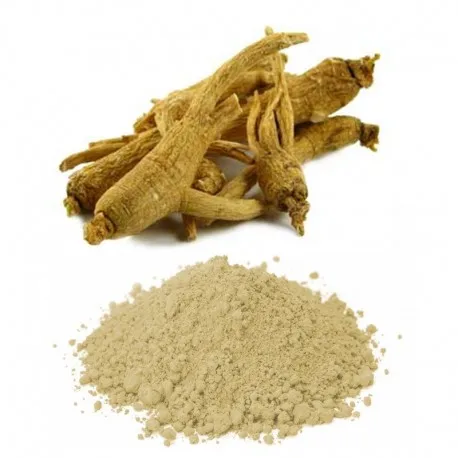High-quality Ginseng Root Extract