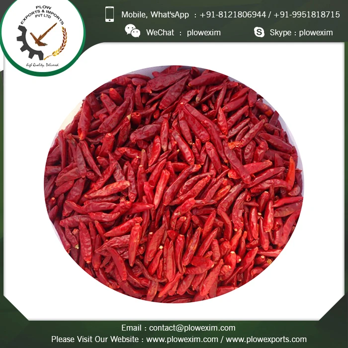 Indian Spices Dry Red Chillies TejaS17 Stemless