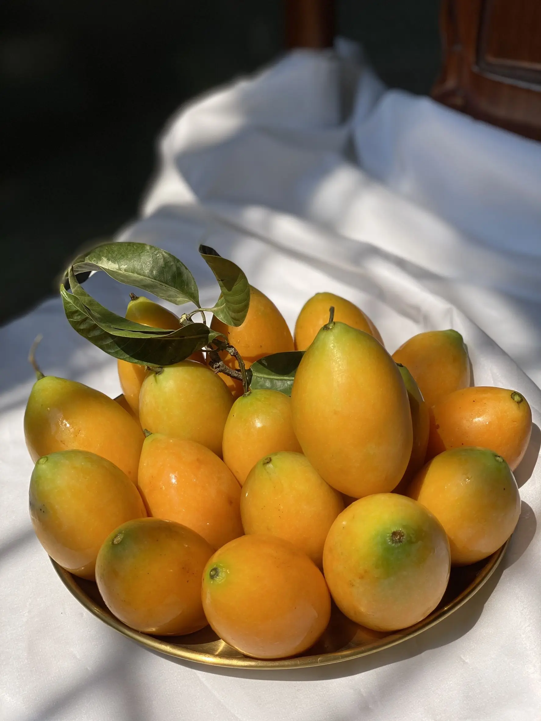 Thailand Premium Fresh Marian Plum (mayongchid)