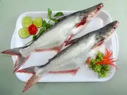 HOT SALE !!!! IQF Frozen WHOLE ROUND PANGASIUS FILLET fish seafood pangasius fillet Factory price from Viet Nam