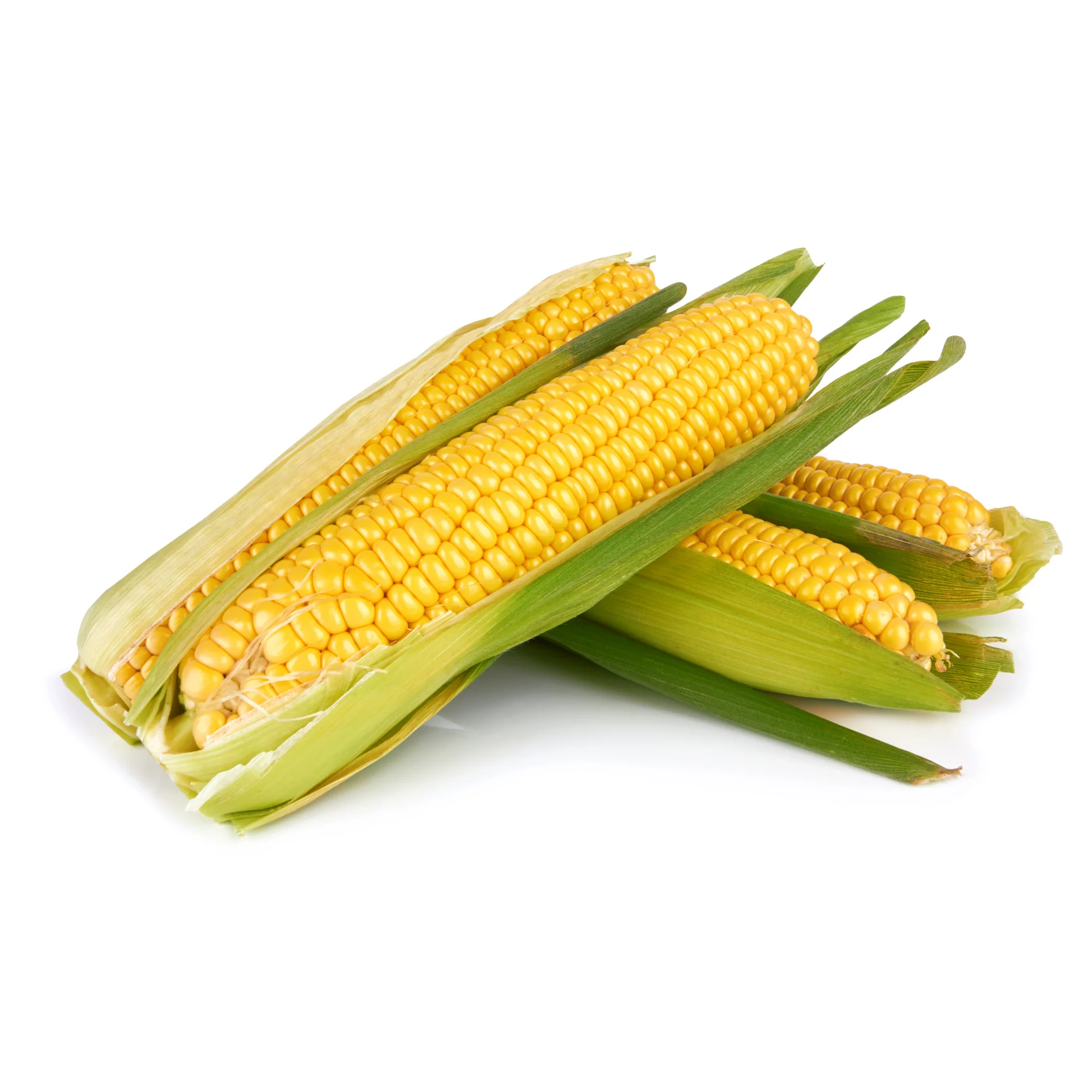 Кукурузно-высокое качество