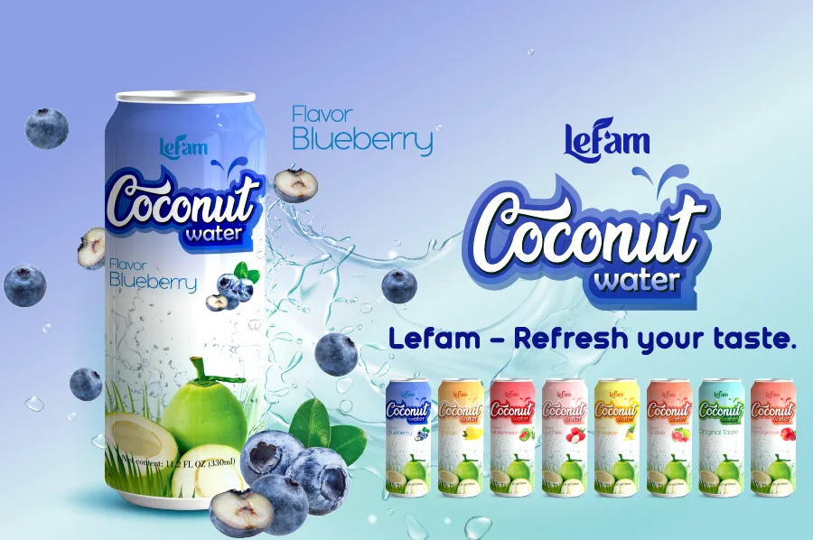 Packing 24 cans Coconut Water Blueberry Flavor with pulp 500ml Fresh Soft Drink Manufacturing ODM LEFAM BEVERAGES agua de coco