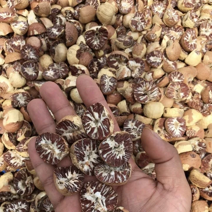  Сушеные цельные орехи BETEL/орехи ARECA из Вьетнама по лучшей