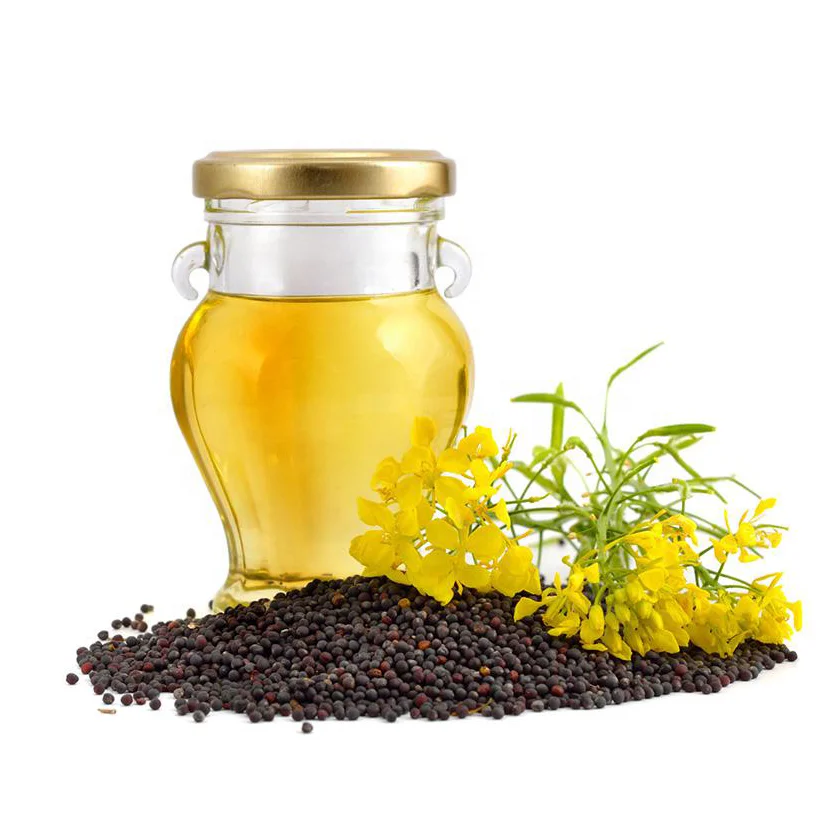 Best Quality Factory Price Pure Canola Oil For Cooking Wholesale Pure Canola Oil