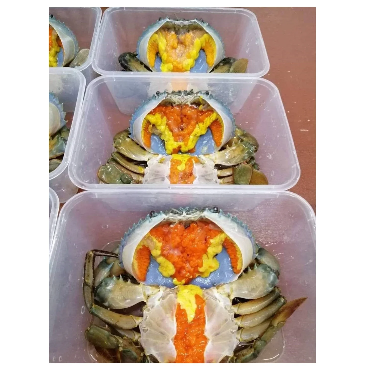 Female Mud Crab Fresh  Best Quality Master Seafood Product Size 90-300gm Origin Bangladesh Wholesale offer Price