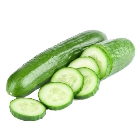 
Wholesale Fresh Cucumber/ Fresh vegetable cucumber.. 