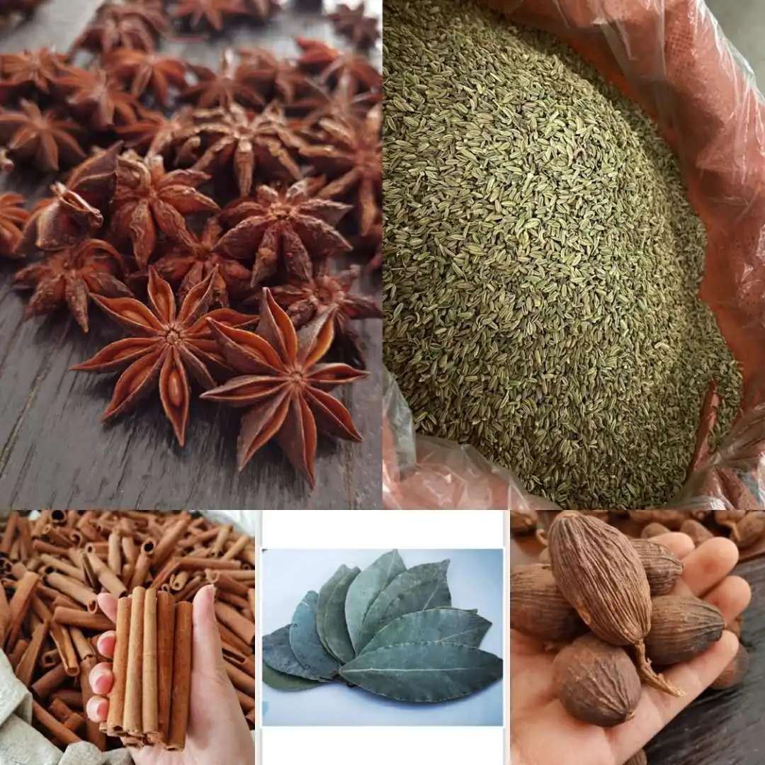High Quality Dried Cinnamon Stick Star Anise for ingredient Can Be Used for Curry Dishes or Other Recipes star aniseed