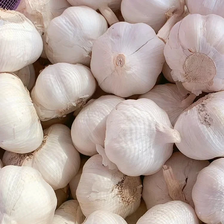 Свежий органический белый чеснок 10 кг/коробка. 10 кг/Сетчатые Сумки круглый год от