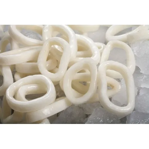 New Arrival high quality frozen red squid loligo
