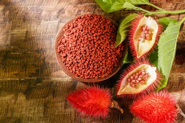 Оптовая продажа низкая цена новый урожай семена Вьетнама аннато высокопитательные Сушеные Семена Аннато со специями Shyn Tran + 84382089109