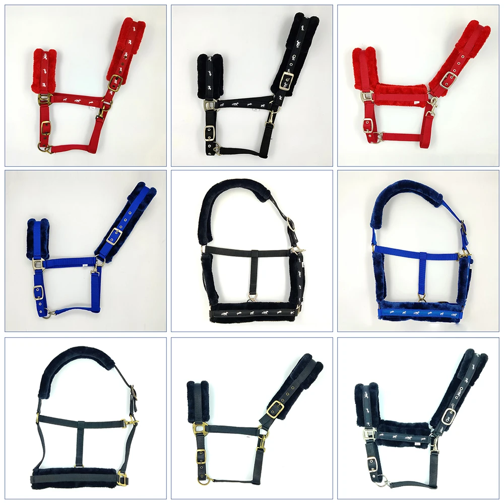2024 New Latest Design Horse Riding PP Halters Bulk Manufacturer Supplier Buy At Good Price
