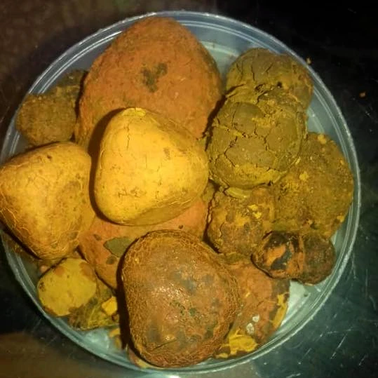 10-20 г бесплатный образец поставки высококачественных натуральных Коровьих желчных камней