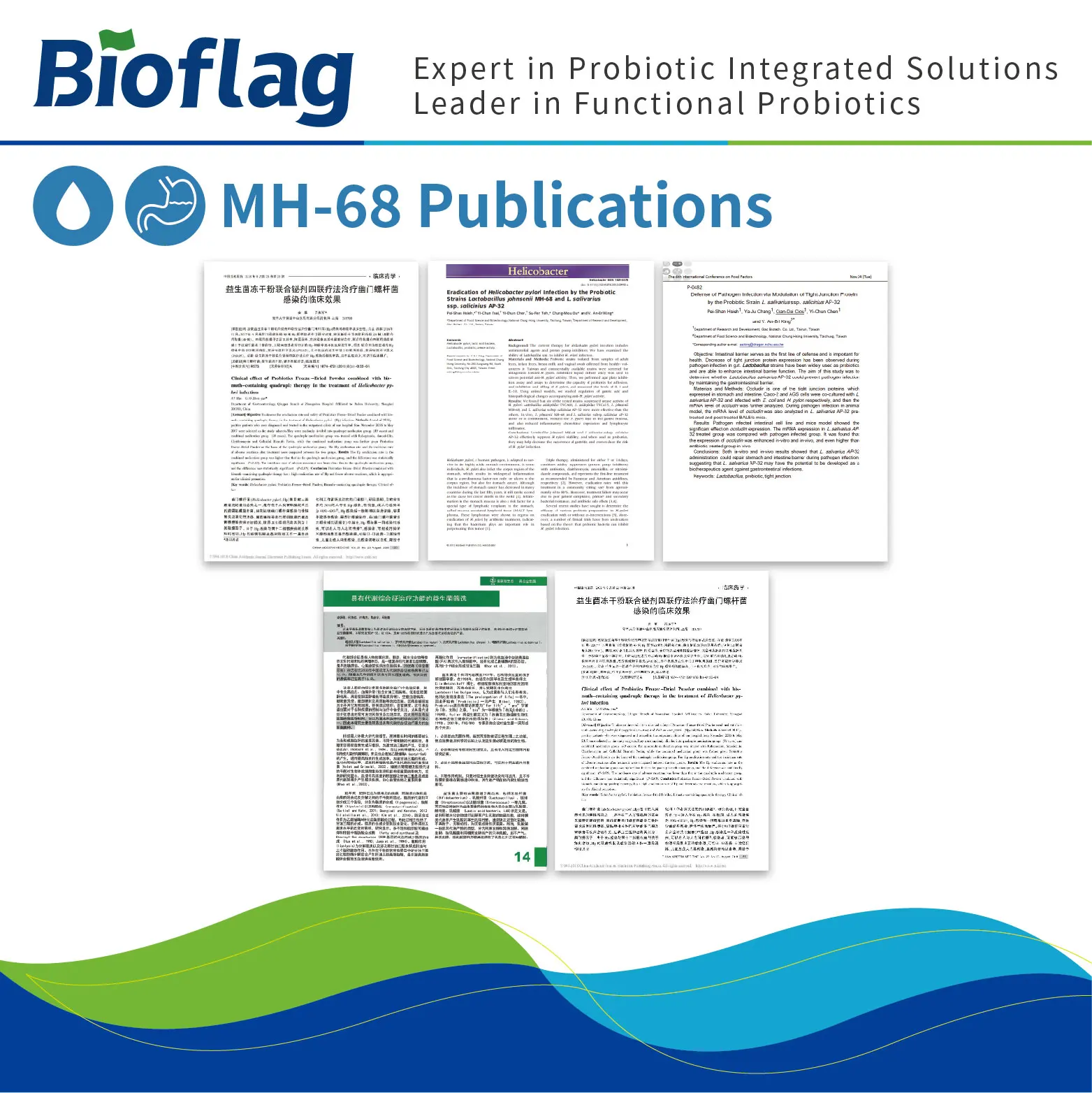 Helicobacter pylori infection prevention and stomach health probiotic Lactobacillus johnsonii MH-68