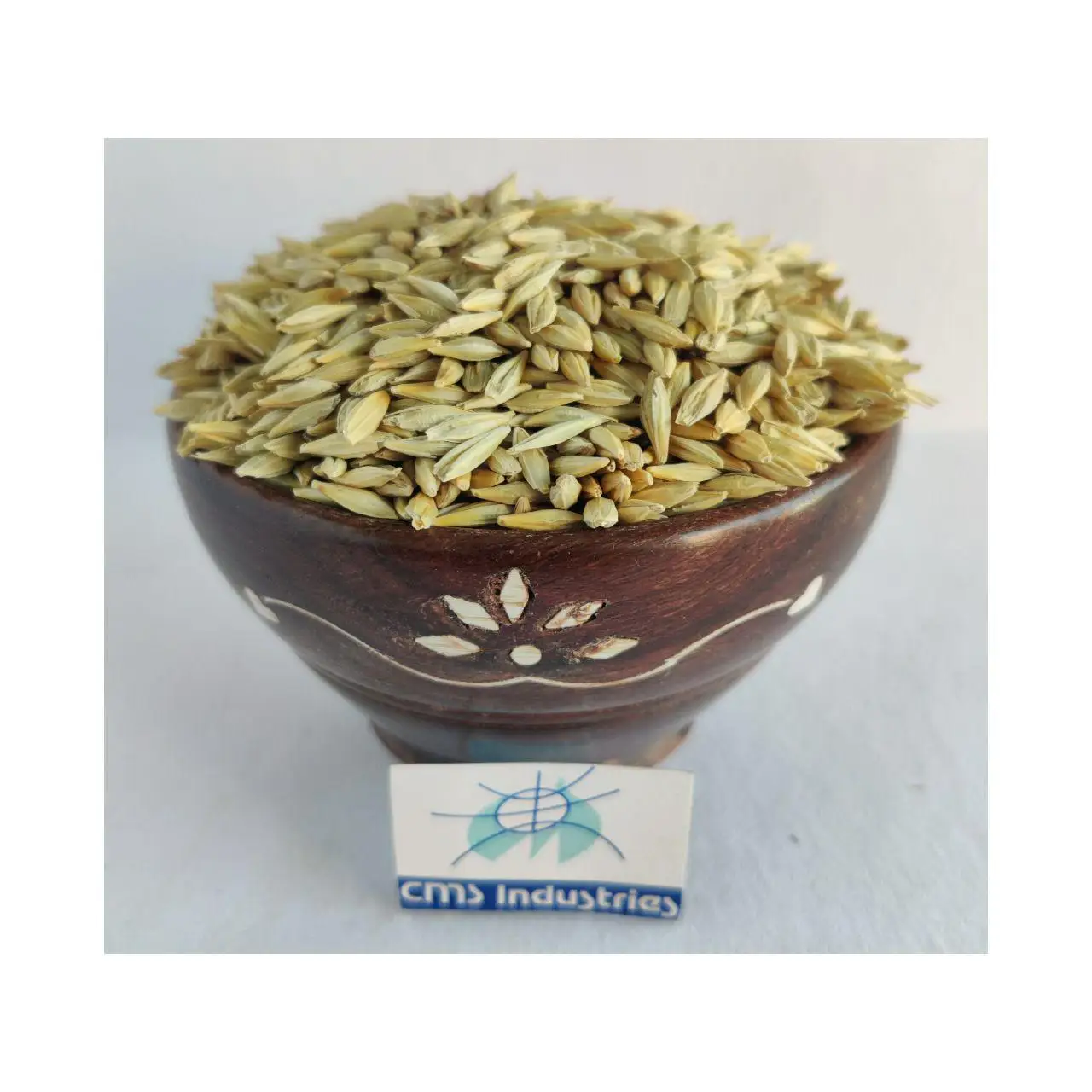 High Rank Premium Quality Barley