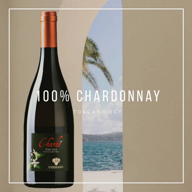 Белое вино Премиум-Качества, итальянский шардонне ди Тоскана I.G.T. CHARDO «Подарочная коробка»