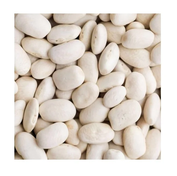 
Cheapest Price White Butter Beans Available Here For selling 