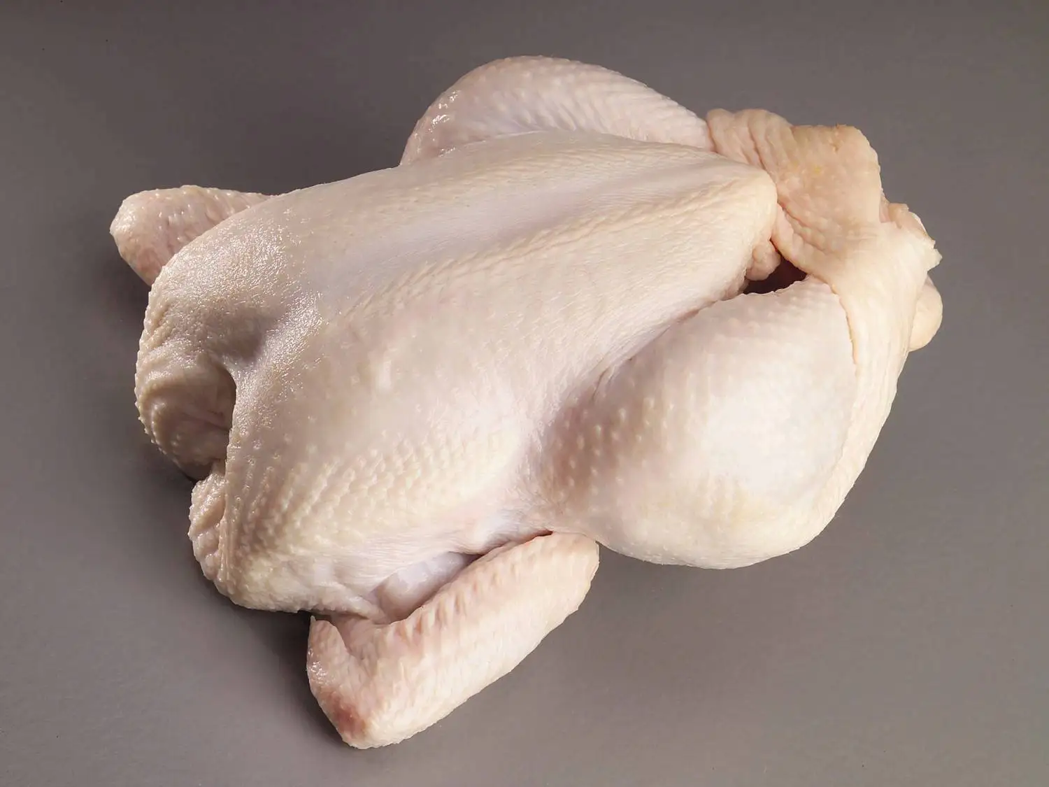 Hot sales - Frozen Chicken Gizzards , paws , breast and drum stick suppliers from EU