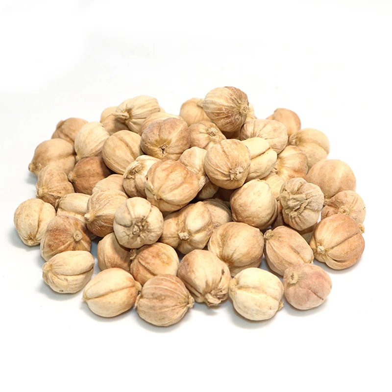 Best amomum Cardamomum cheap and top grade cure rheumatism whatsapp +84 845 639 639