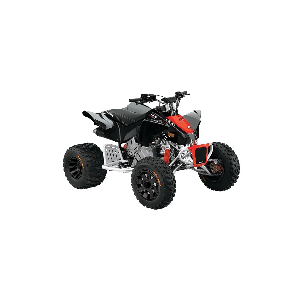 
2021 Can-Am DS 250 ATV 