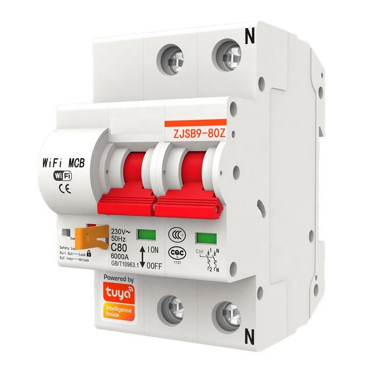 Tuya Smart Life 2P 80A WiFi Smart Circuit Breaker Overload Short-circuit Protection Works