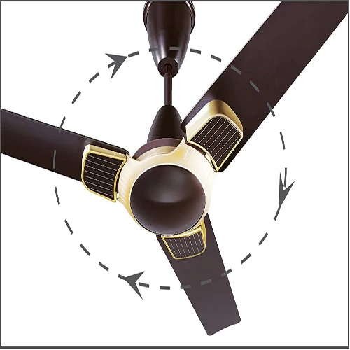 Ceiling Fan | REVE Ceiling fans 1200 mm mystique ceiling fan brown , Warranty : 2 Year