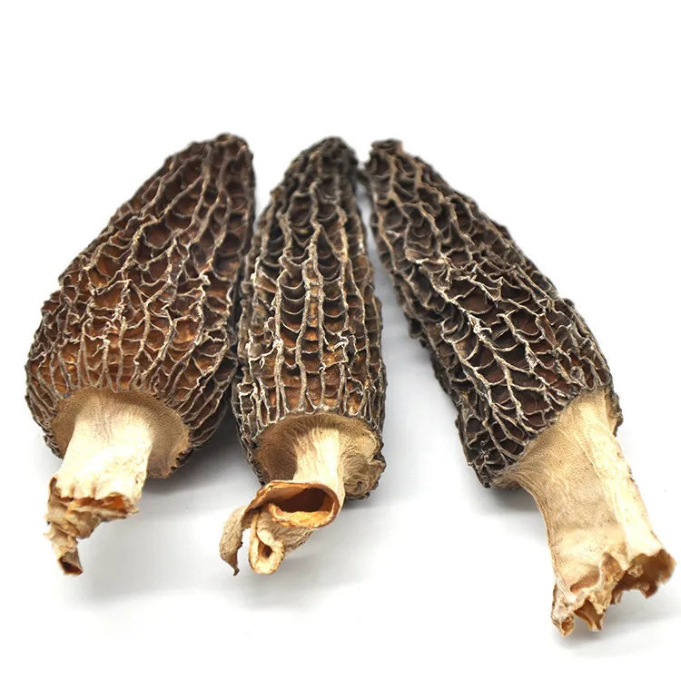 Large 5-8 cm Size Natural Dried Morel Mushroom & Morchella Esculenta price
