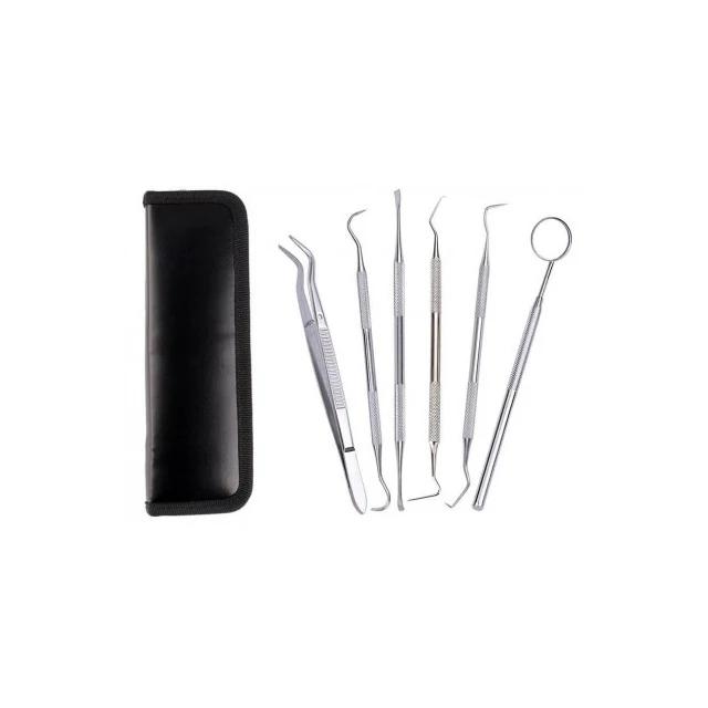 6 PCS Stainless Steel Dental Hygiene Kit Dental Mirror/ College Tweezer / Explorer/ Probe / Scalar