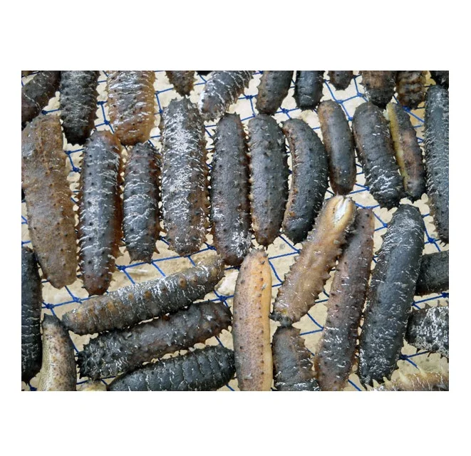 HIGH QUALITY NATURAL PURE DRY SEA CUCUMBER VIETNAM FOR EXPORT AT BEST RATE //Rachel: 84896436456