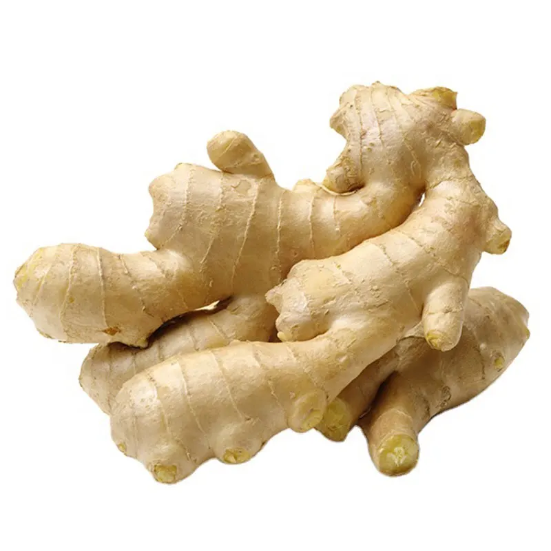 Buyer Dried Ginger 2022 Fresh Ginger
