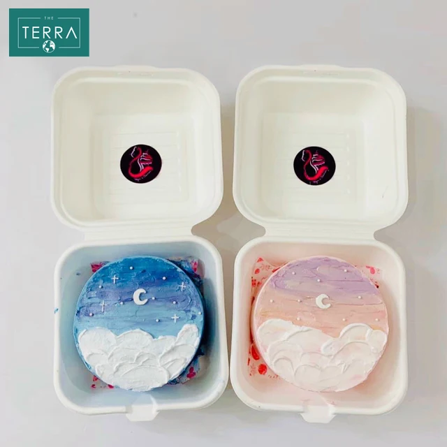 Vietnam Quality Food Biodegradable Packaging Surgarcane Bagasse Areca leaf White Natural RETANGUKAR Box With Lid