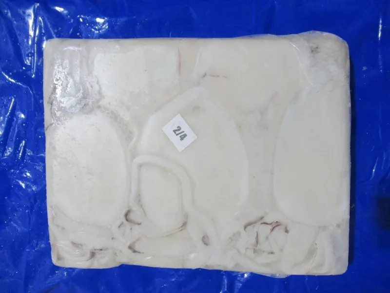 Top quality Cuttlefish cleaned block frozen from India