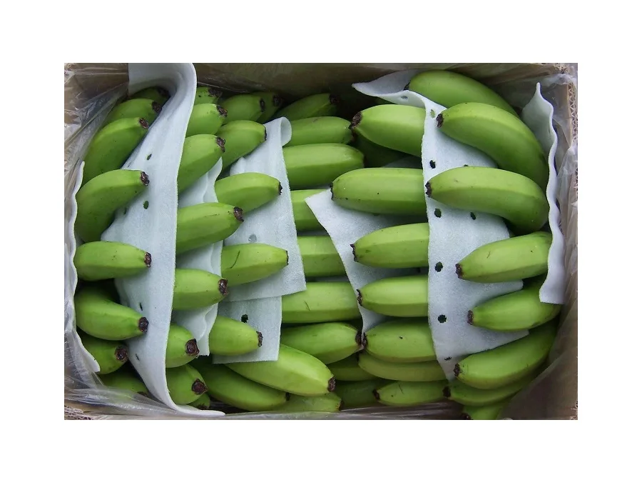 Fresh green cavendish banana for the cheapest