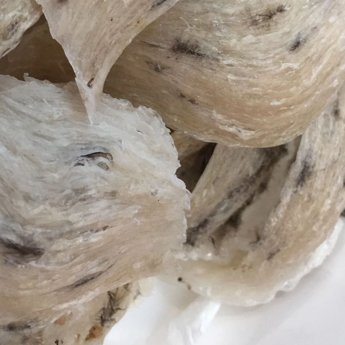 
Best Taste Improve Immune System Bird Nest For Health And Beauty Recovery 100% Natural From Vietnam Wholesaler 