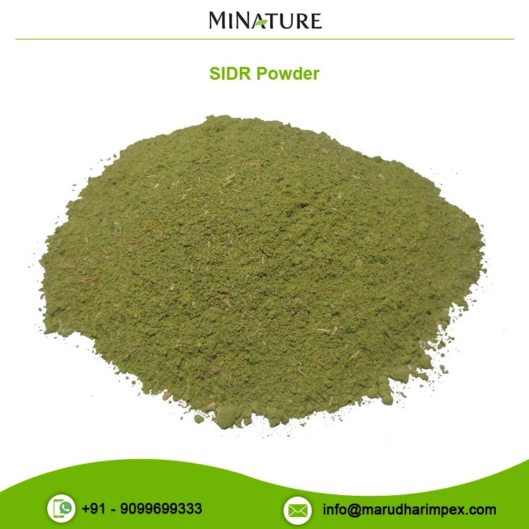 Wholesale Selling Exceptional Quality Ziziphus Nummularia Extract SIDR Powder