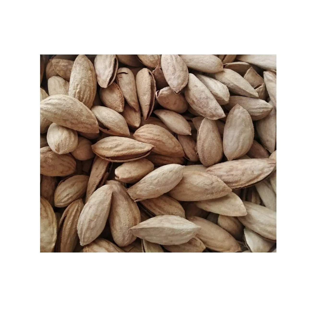 Natural raw nuts almond
