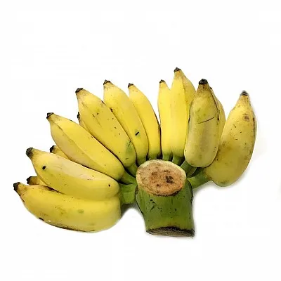 
Fresh style and tropical & sub-tropical fruit good type CHEAPEST SIAMESE BANANA 