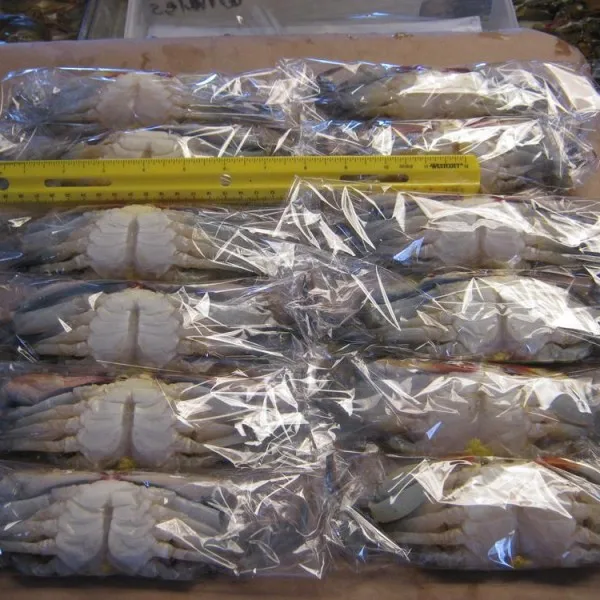 Замороженные голубые крабы для плавания оптом