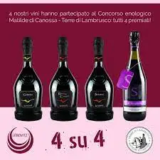 High Quality Red Wine 100%  Italian Raw Materials Rosso dei Concari Lambrusco Mantova DOP  Table wine